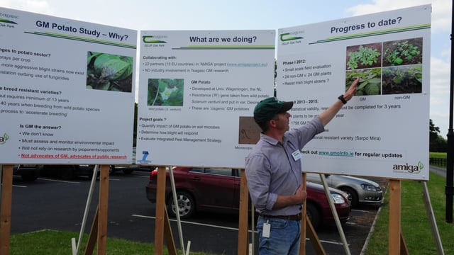 Positive initial findings in Irish GM potato trials