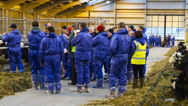 900 farmers attend dairy unit training