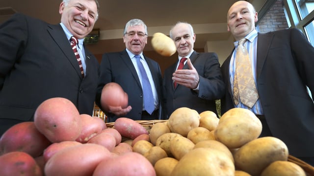 Potato promotion plans under way to combat market volatility