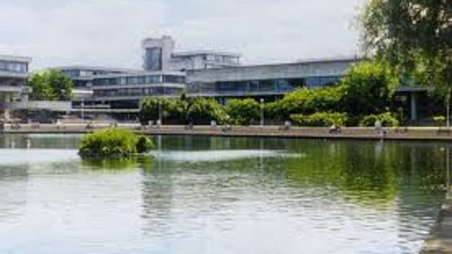 UCD in world top 100 universities for agriculture and forestry