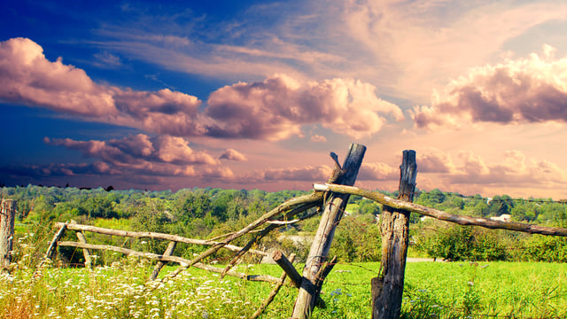 4,800 land eligibility appeals made to date