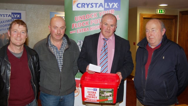 Tremendous turnout for Tralee sheep meeting