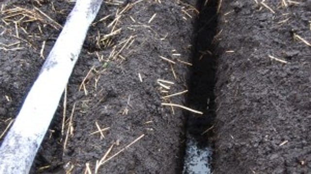 'Half the land farmed in Ireland is marginal, but drainage needs 28cL to justify'