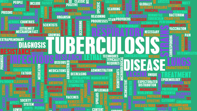 New TB restrictions – latest bombshell to hit Irish beef industry