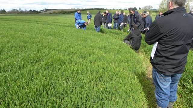 Well sown is well grown, according to Teagasc
