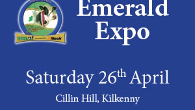 Top judge praises Emerald Expo dairy stock as 'best selection he has ever seen'