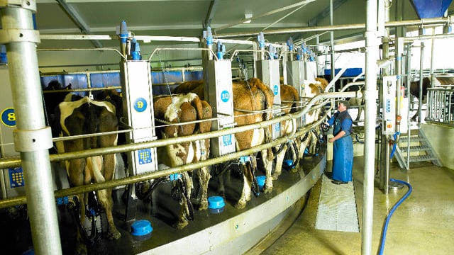 Fonterra announces results below farmers' expectations, warns of commodity volatility