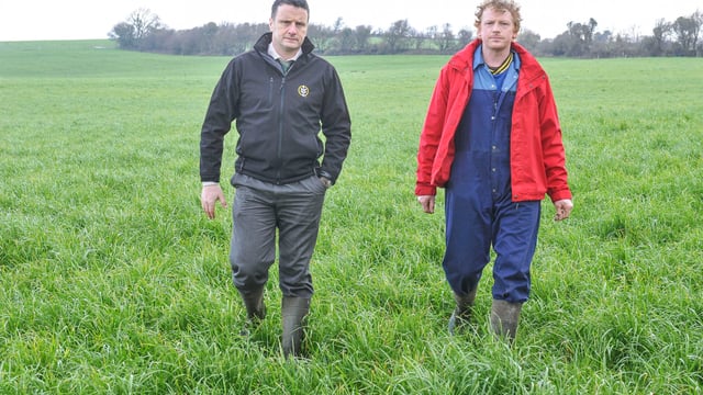 Lots of grass on Golden Vale dairy farm