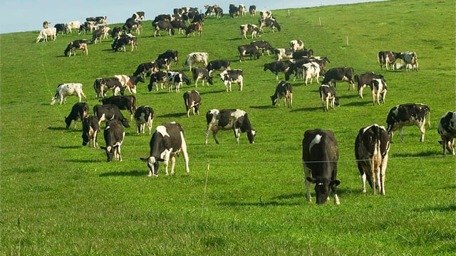 90% of herd fertility is good management