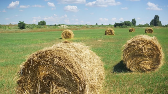 Environmental lobby says CAP won’t deliver for the environment