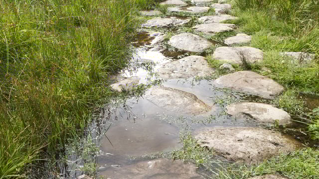 Video: Rural Development Programme and the environment