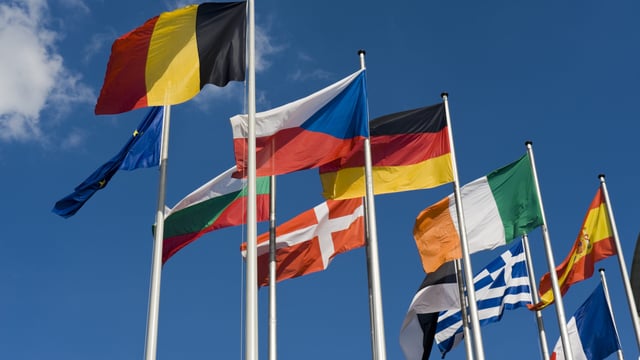 MEPs welcome pledge on reform CAP reform