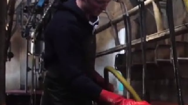'Clean cows vital to low TBC'