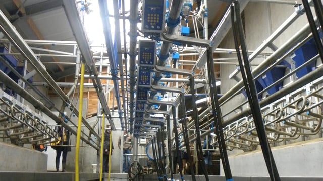 Fonterra dairy trade auction slumps 8.4%