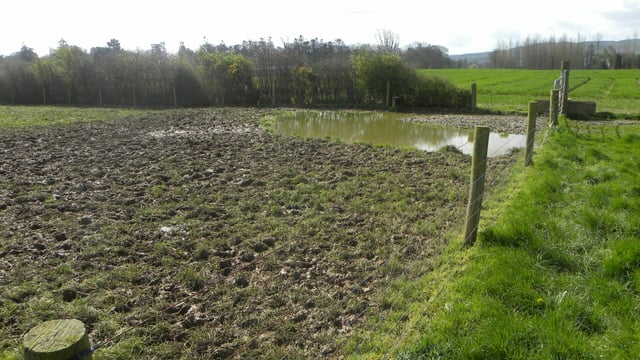 May rainfall twice the norm in places