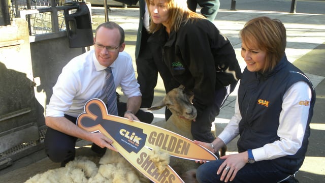 Traditional skills of hand shearing will be highlight of world championships in Gorey