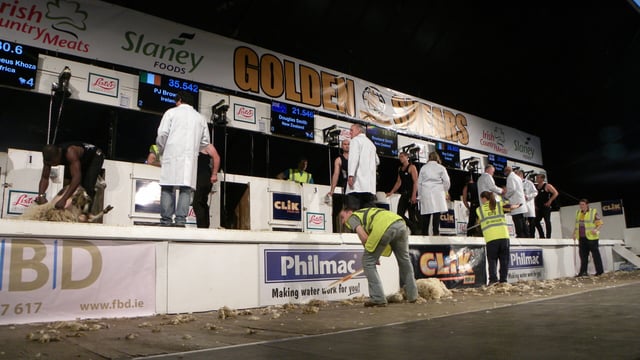 What's on at Golden Shears: DAY 2