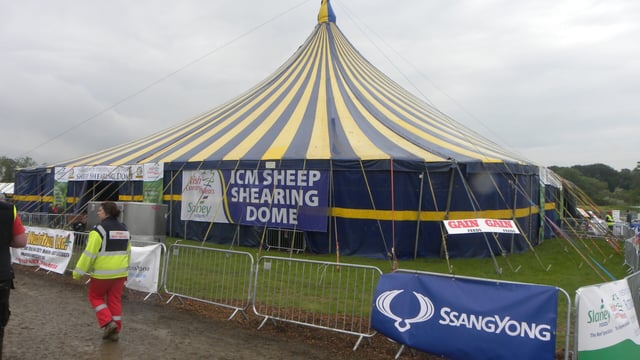 Sheep Shearing Championships update