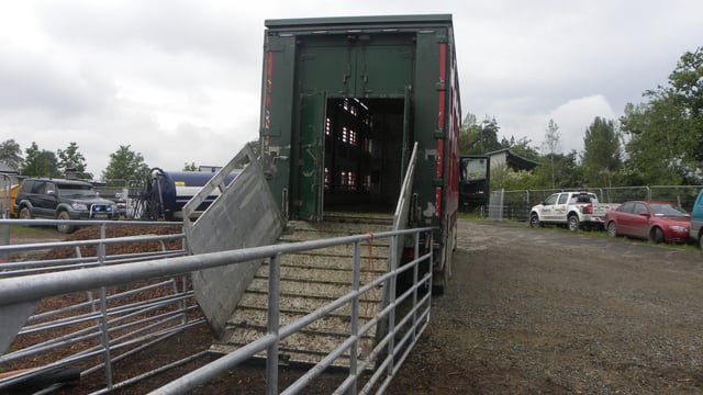 66% of British public 'appalled' at live exports