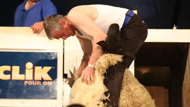 Five countries win World titles at Golden Shears