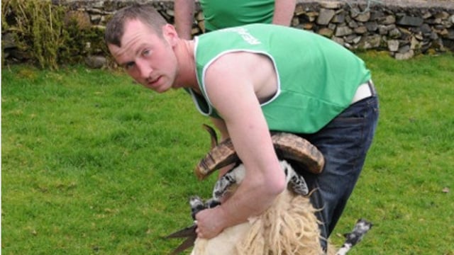 Mayo shearers to represent Ireland at World Blade Shearing Championships