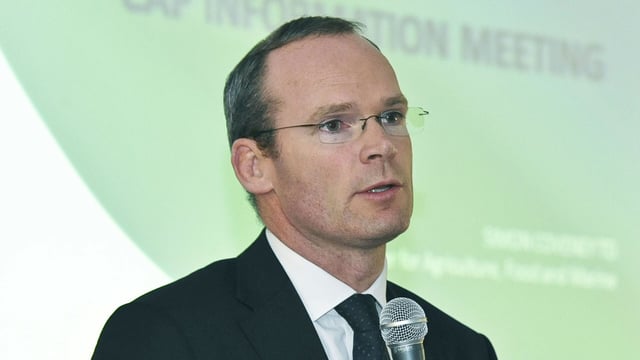 Coveney: 'There are new risks now with the British market'