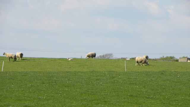 New agri-environment scheme will be 'key to delivering our climate objectives' - minister