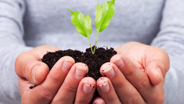 Productivity of food sector needs to be repeated at primary level