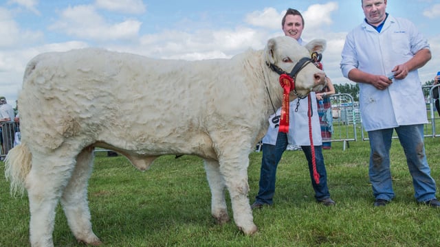 Fun in the sun at Lisburn and Saintfield District Show