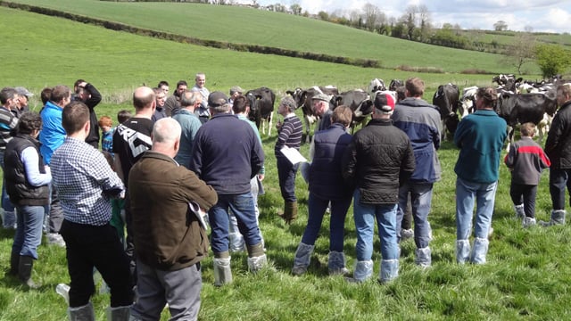 Producer Groups to give more power to farmers