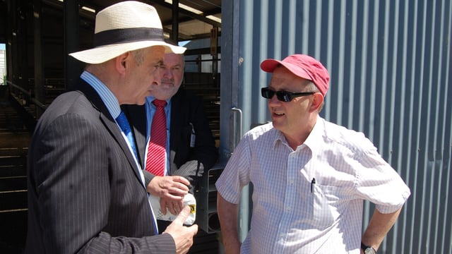 Beef is a numbers’ game - Downey