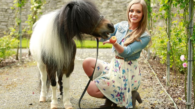 Flavours of Fingal this weekend