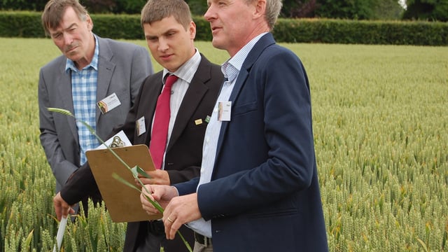 'Tillage farmers must get better at managing risk'