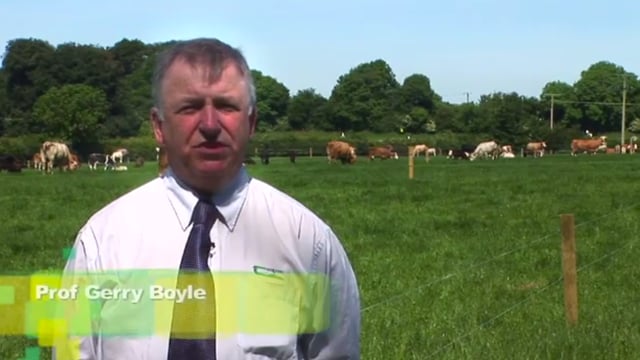 Grange Beef 2014 video highlights