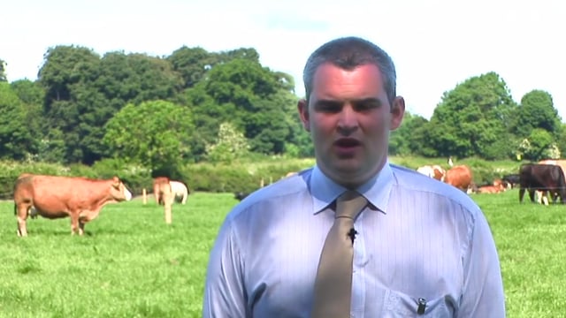Teagasc videos on dairy calf to beef, grass management from Grange 2014
