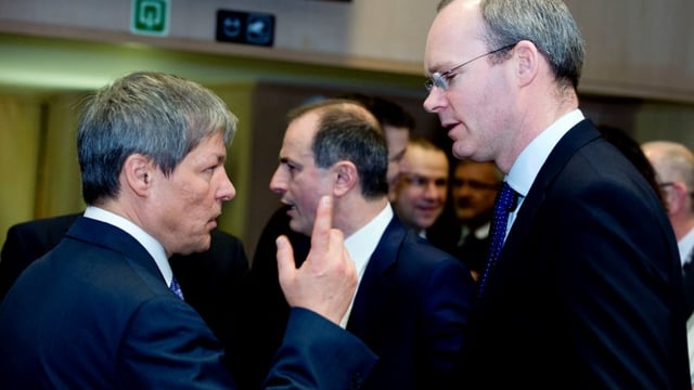 Food Harvest 2020 beef targets will be achieved - Minister