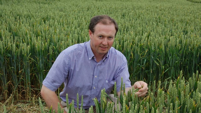 Improving soil fertility is a long-term process