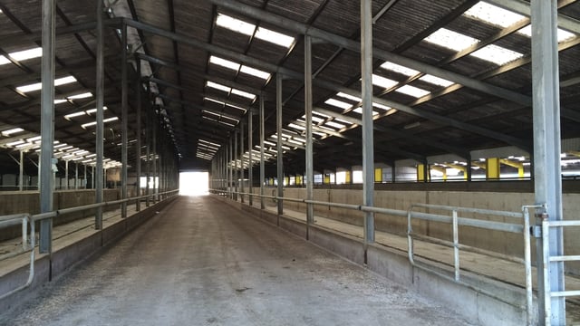 Large Herd Open Day highlights the need for effective disease control strategies