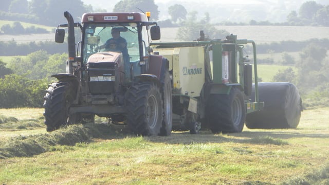 Cut silage yields super, but quality dropping