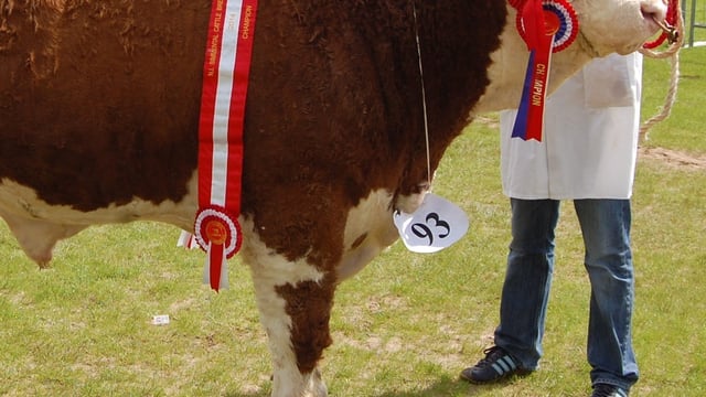 History made at Ballymena Show 2014
