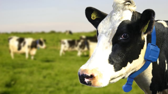 New study finds Moomonitor is best in class