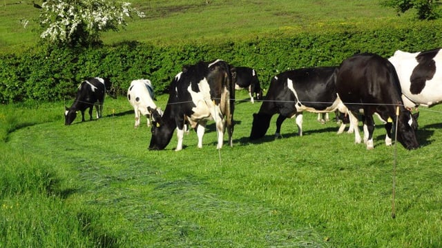 Agricultural land values experiencing steady growth