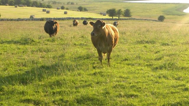 €4 billion rural development fund outlined 