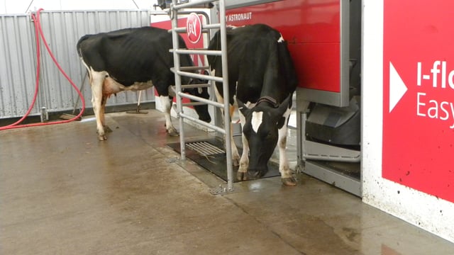 Farm investment on the rise