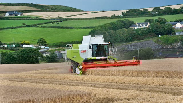 IFA proposes phased transfer partnerships