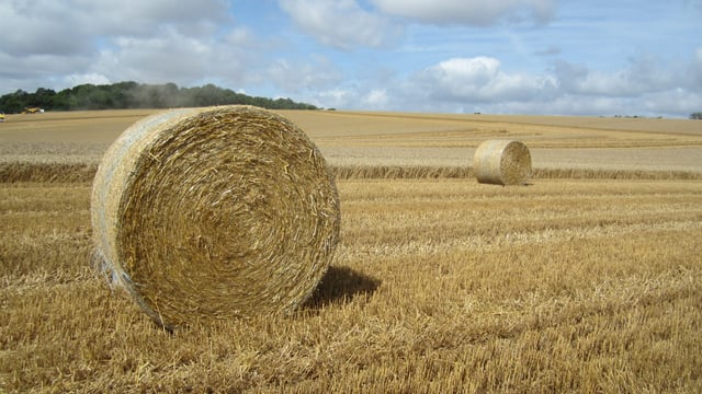 'EU agriculture will struggle to grow'