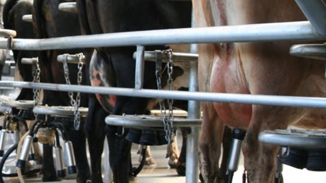 Arla issues 18-24 month warning on global milk prices