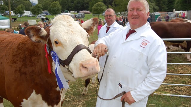 Newry Show has a new home