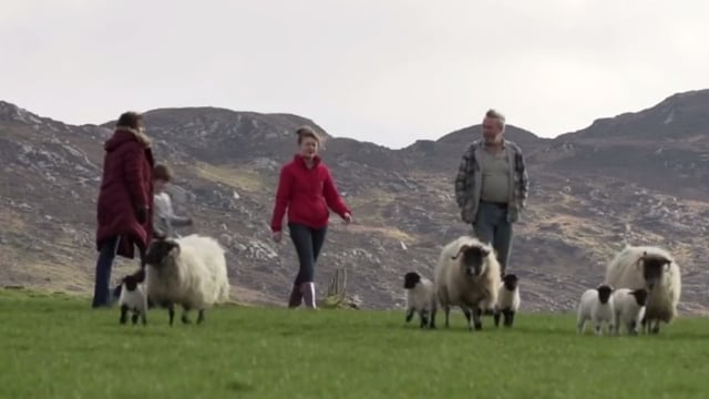 Family farms are one of the absolute core communities of Irish society