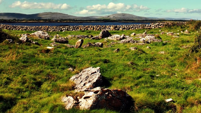 IFA welcomes increased payments for island farmers